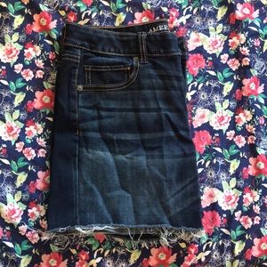 American Eagle Dark Denim Shorts